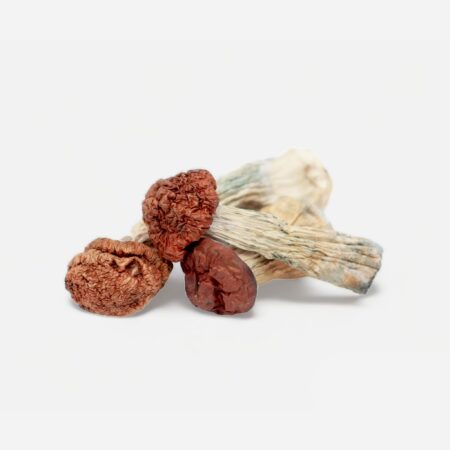 blue meanies mushroom dried