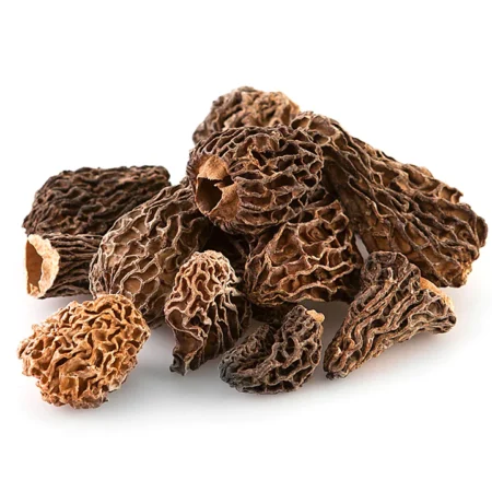dried morel mushrooms for sale