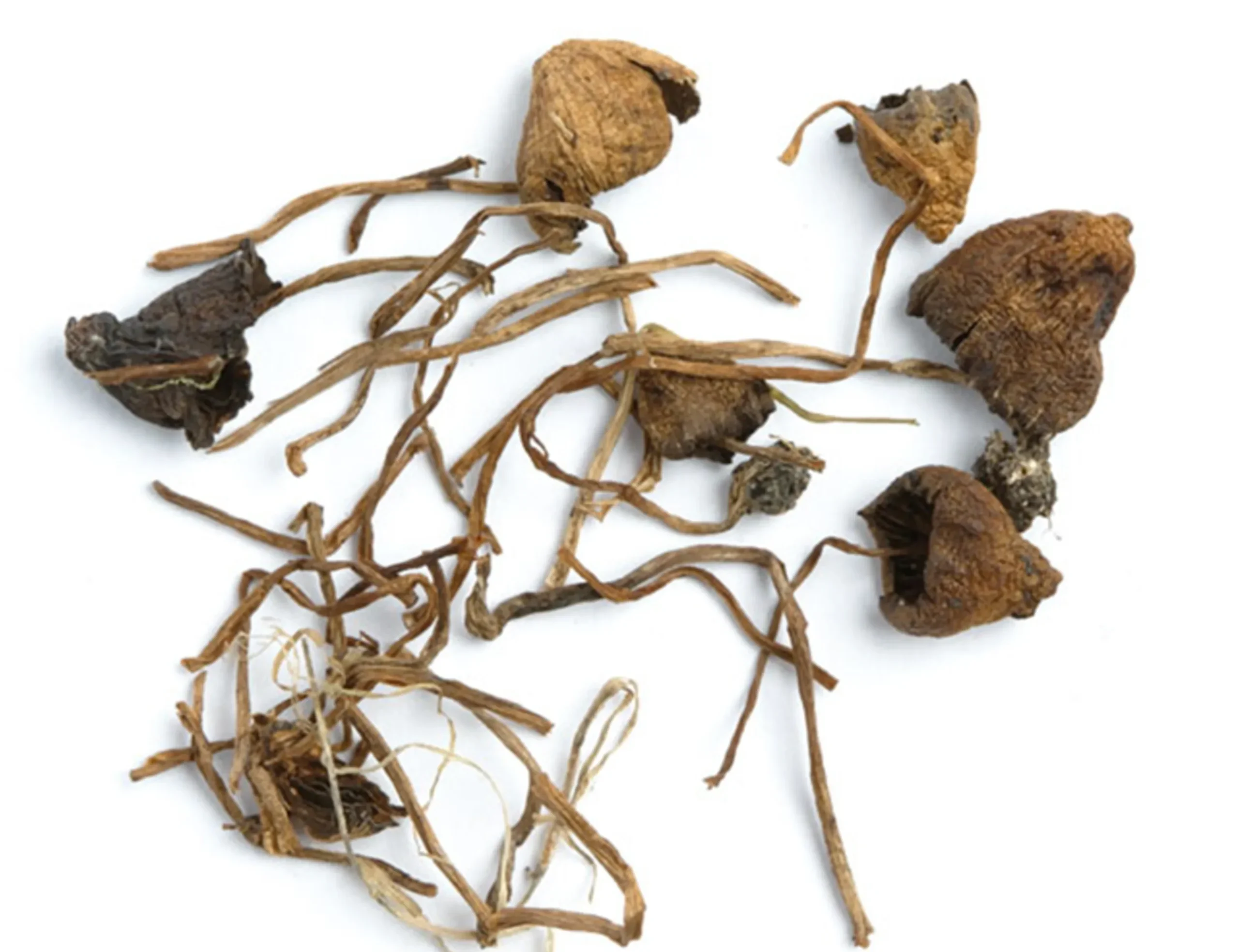 buy magic mushroom usa