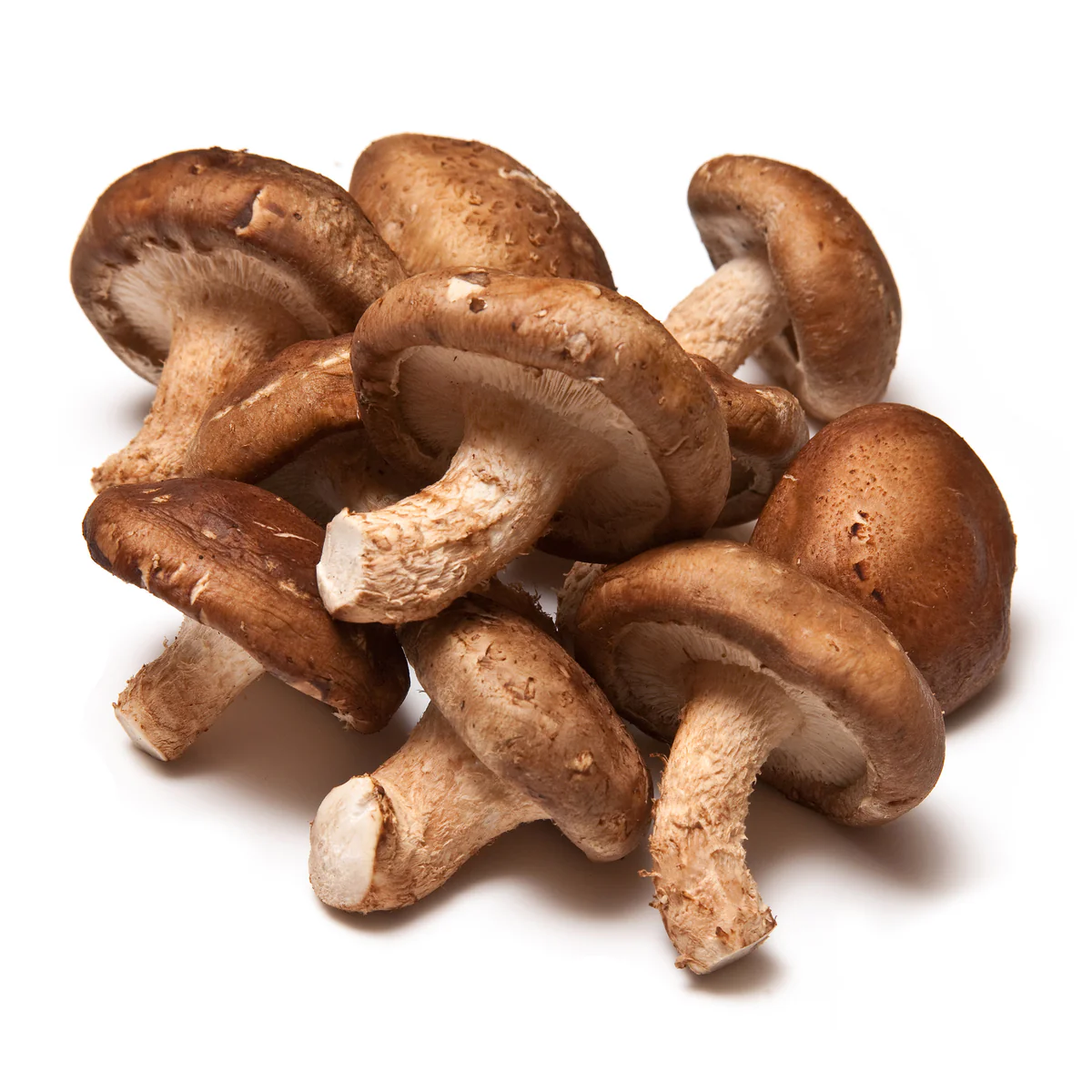 fresh shiitake mushroom