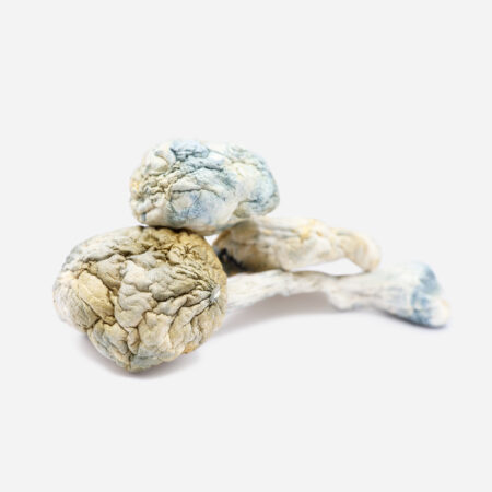 psychedelic mushroom online