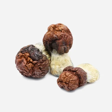 bluey vuitton mushroom strain