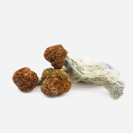 trinity mushroom strain