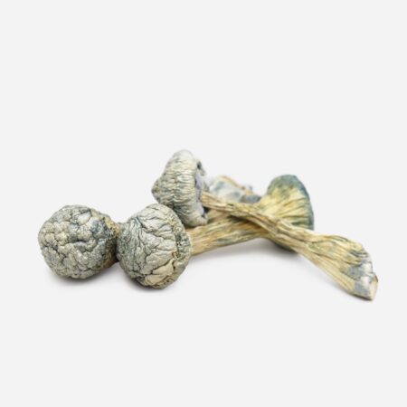 magic mushrooms in las vegas