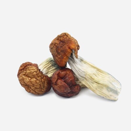 magic mushroom order