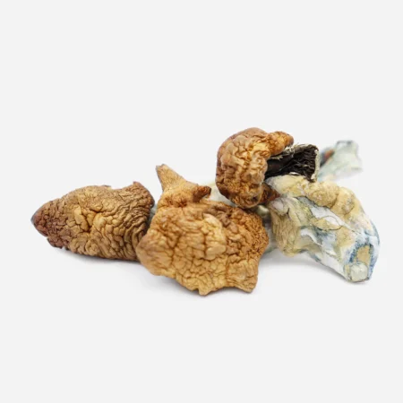 magic mushroom dispensary