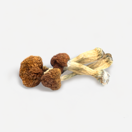 order magic mushroom online