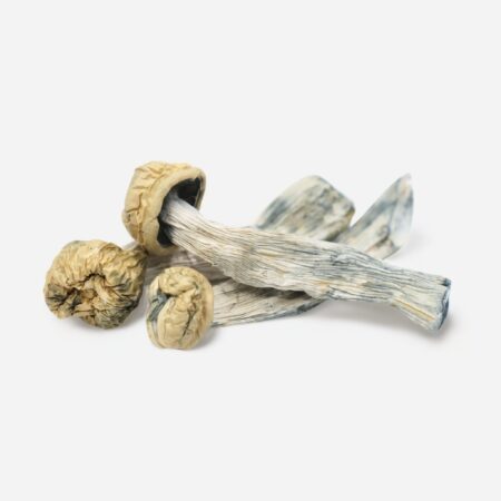yeti mushroom strain