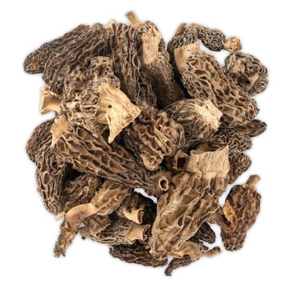 fresh vs. dried morel mushrooms