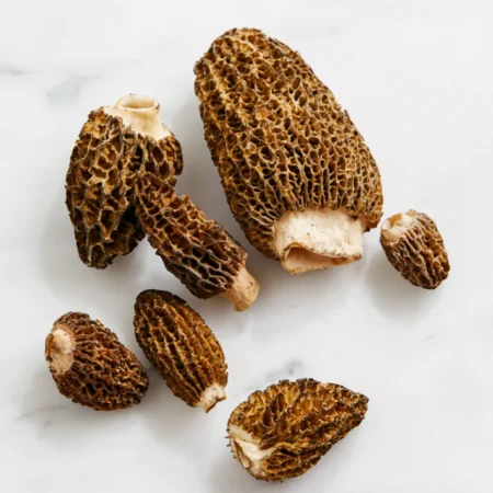 fresh morel mushrooms for sale