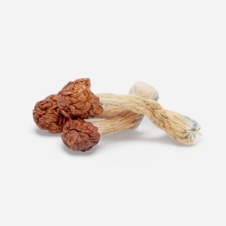 melmac magic mushroom