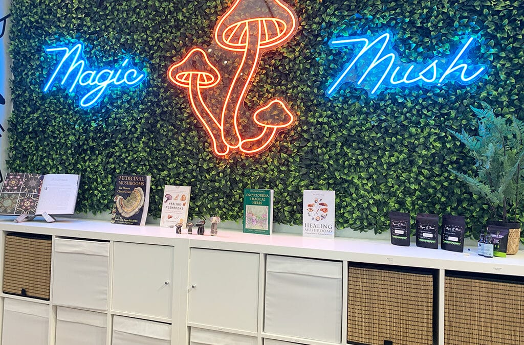 magic mushroom trips