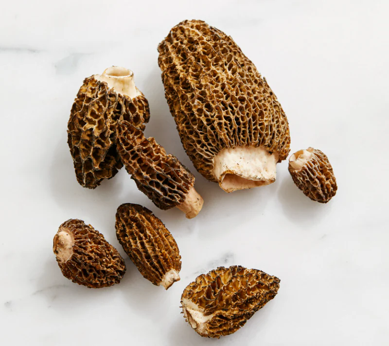fresh vs. dried morel mushrooms