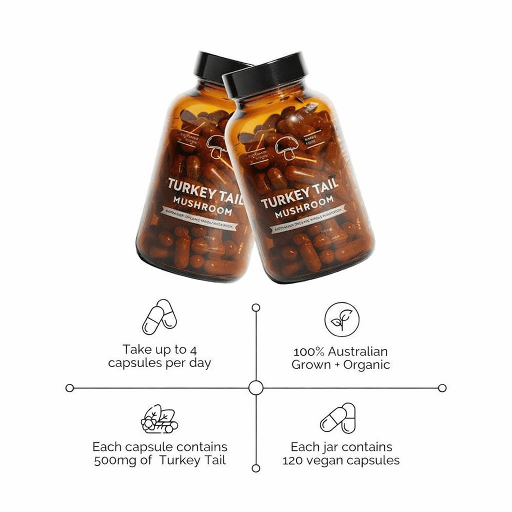 Ultimate Guide to Turkey Tail Mushroom Supplement Benefits (Science‑Backed & Expert Tips) 4 turkey tail mushroom supplement benefits