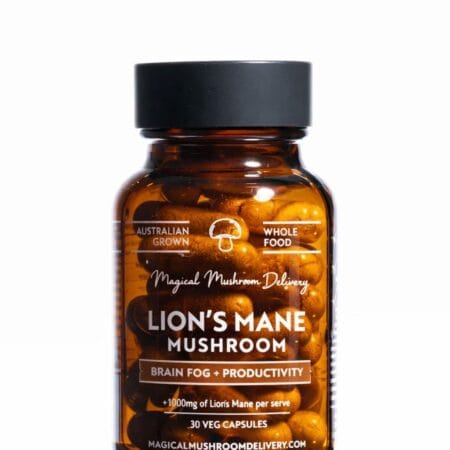 lion mane supplement