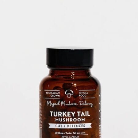 turkey tail mushroom supplement