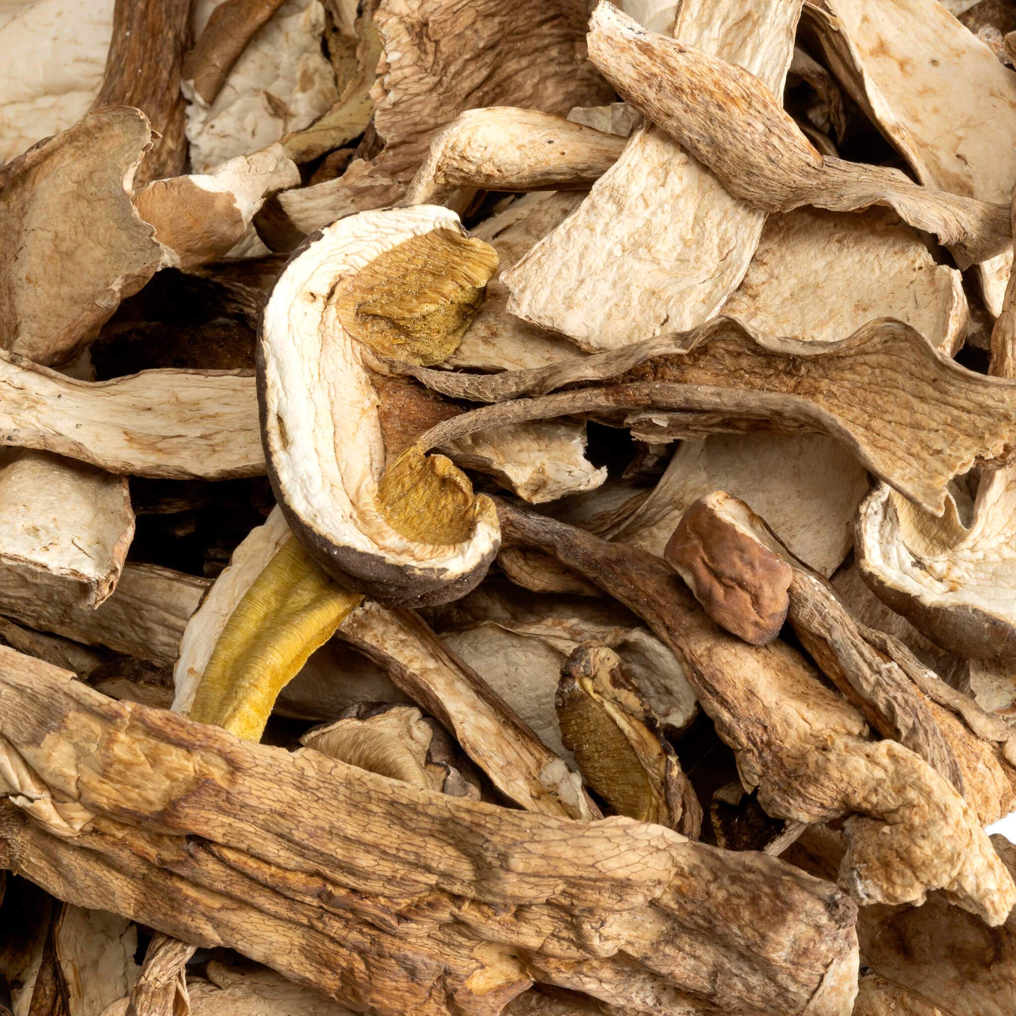 Dried Porcini Mushrooms 3 Dried Porcini Mushrooms - Image 3