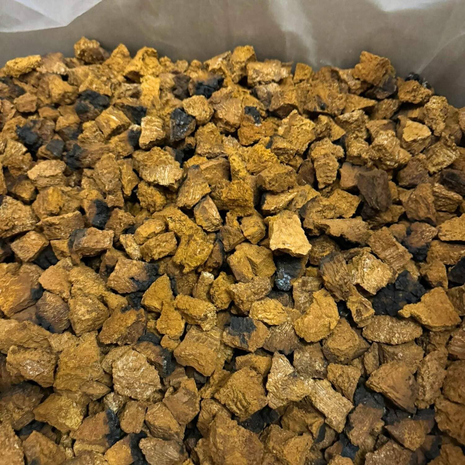 Dried Chaga Mushrooms 4 Dried Chaga Mushrooms - Image 4