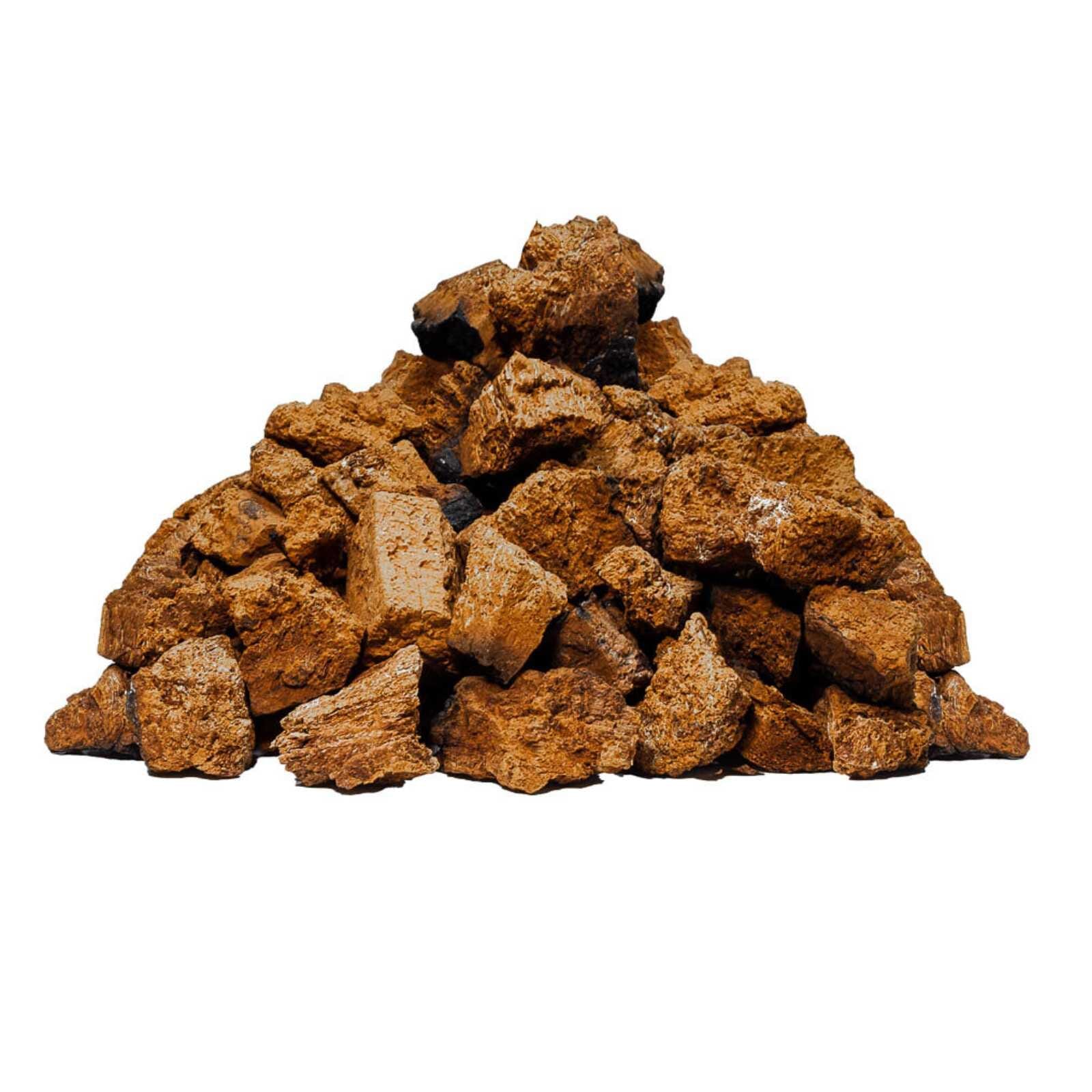 Dried Chaga Mushrooms 1 dried chaga mushroom