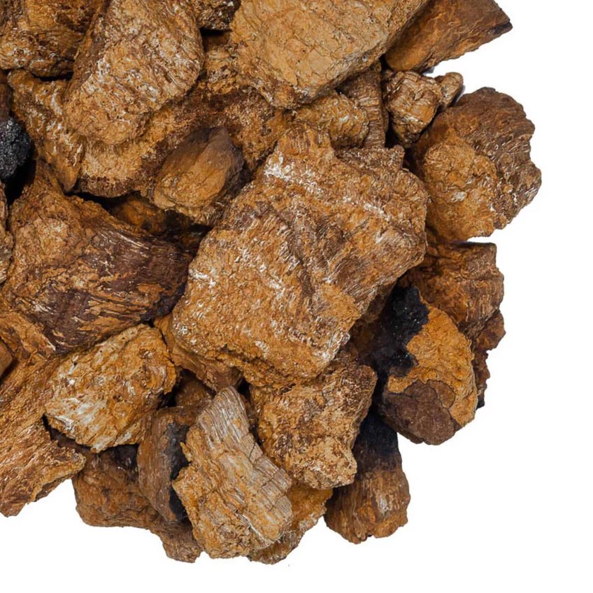 Dried Chaga Mushrooms 3 Dried Chaga Mushrooms - Image 3