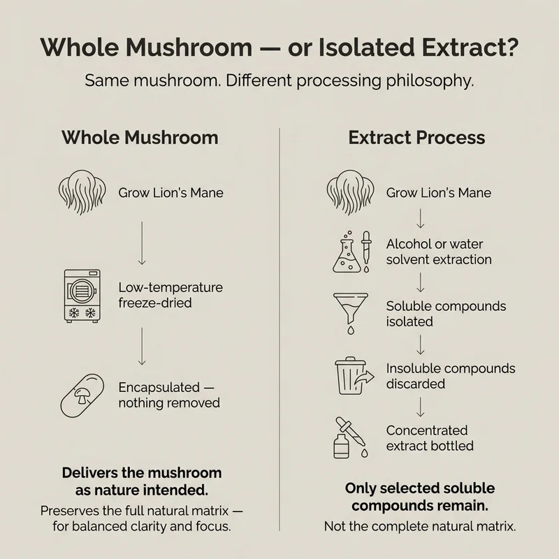 Lions Mane Mushroom Capsules 2 Lions Mane Mushroom Capsules - Image 2