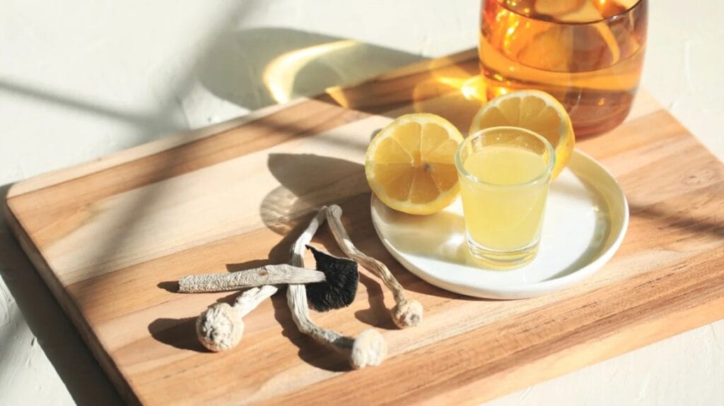 Magic Mushroom San Diego